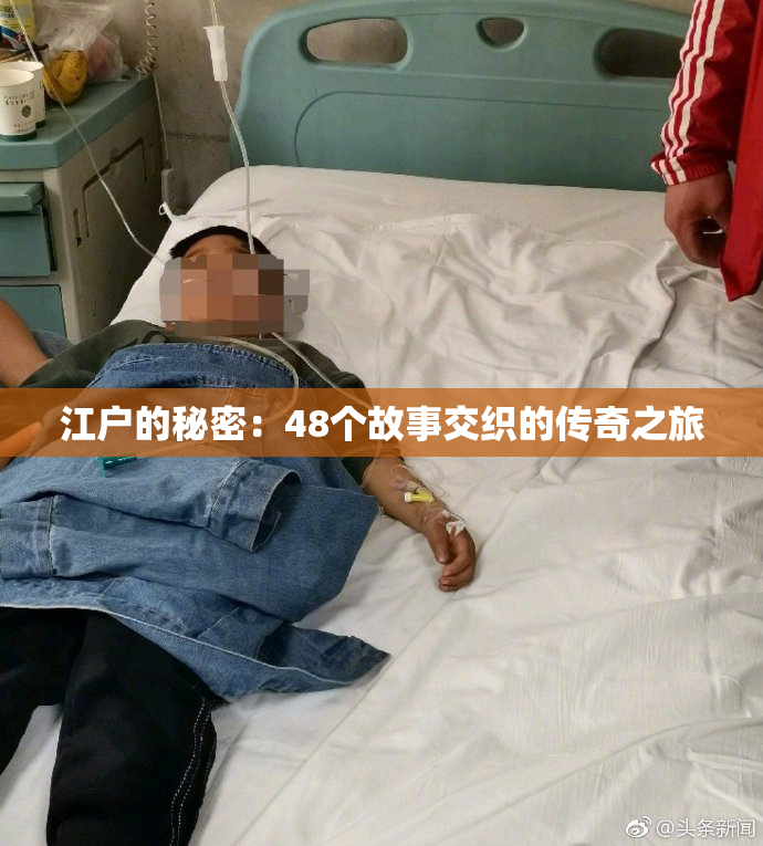 江户的秘密：48个故事交织的传奇之旅