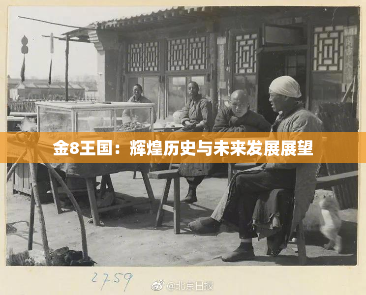 金8王国：辉煌历史与未来发展展望