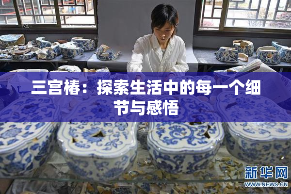 三宫椿：探索生活中的每一个细节与感悟