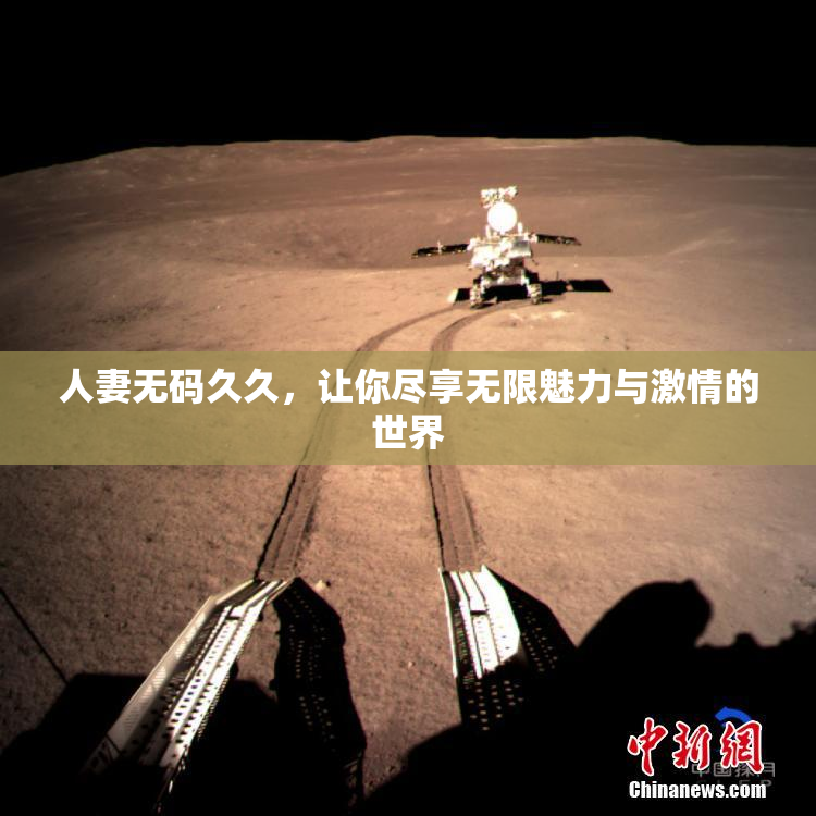 人妻无码久久，让你尽享无限魅力与激情的世界
