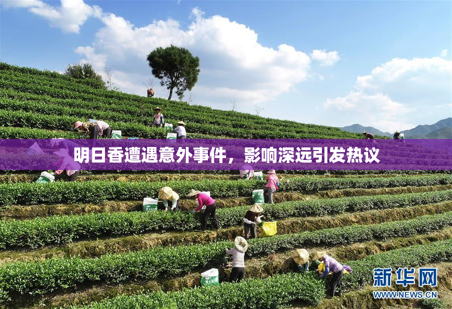 明日香遭遇意外事件，影响深远引发热议