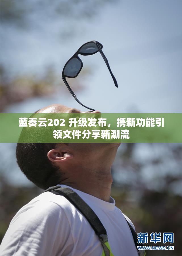 蓝奏云202 升级发布，携新功能引领文件分享新潮流