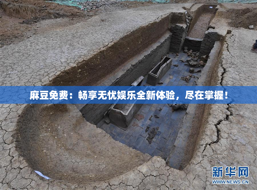麻豆免费：畅享无忧娱乐全新体验，尽在掌握！