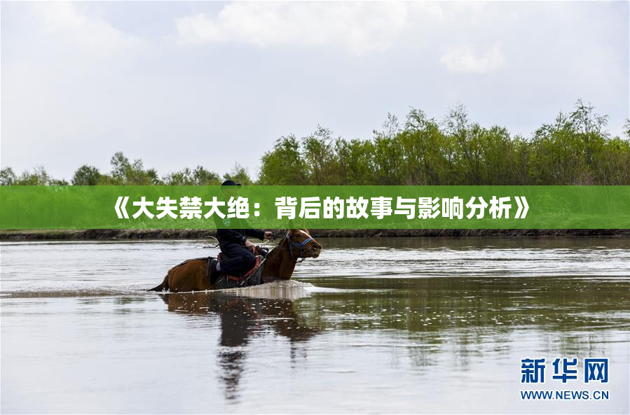《大失禁大绝：背后的故事与影响分析》