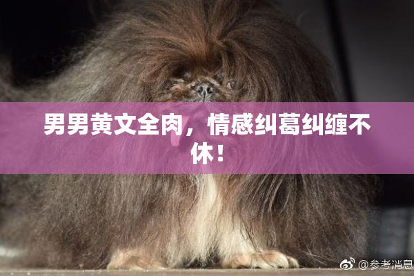 男男黄文全肉，情感纠葛纠缠不休！