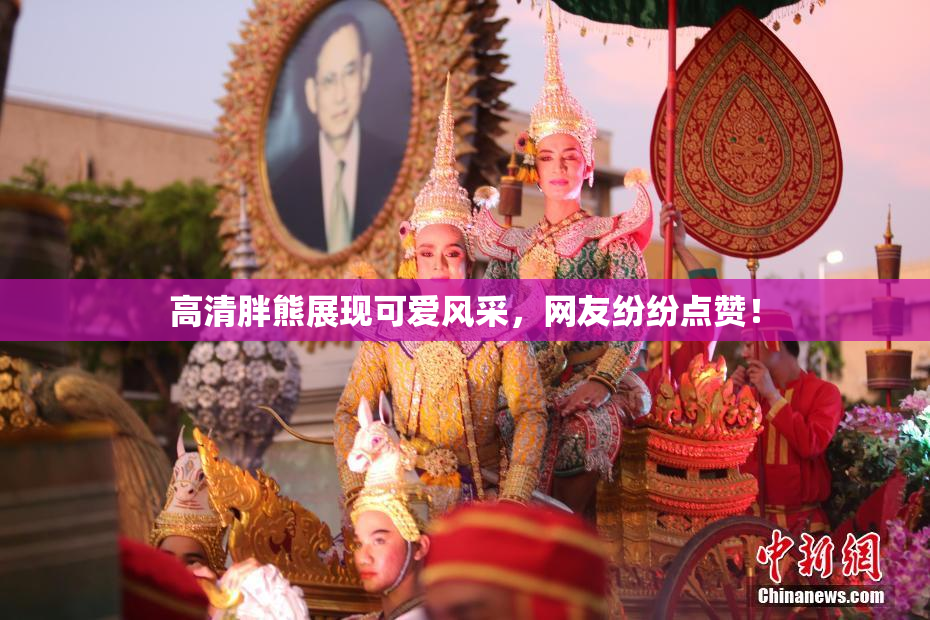 高清胖熊展现可爱风采，网友纷纷点赞！