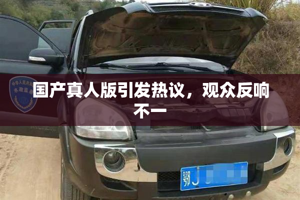 国产真人版引发热议，观众反响不一