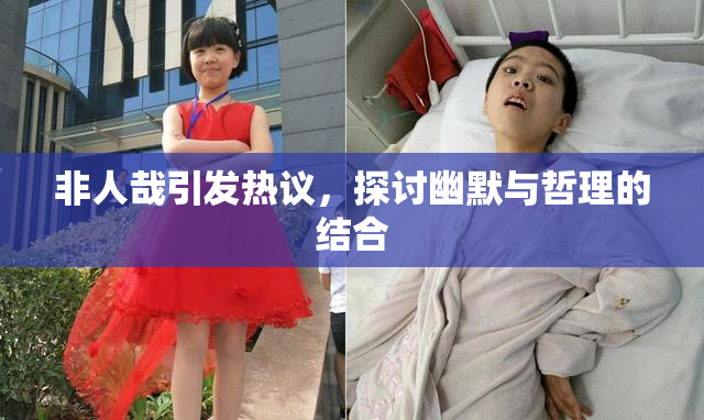 非人哉引发热议，探讨幽默与哲理的结合