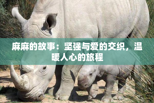 麻麻的故事：坚强与爱的交织，温暖人心的旅程