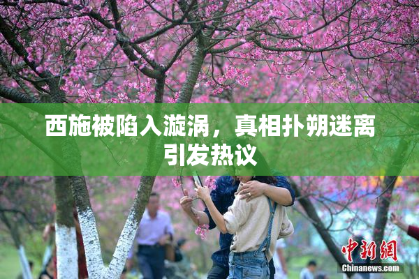西施被陷入漩涡，真相扑朔迷离引发热议
