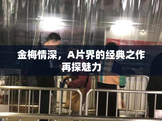 金梅情深，A片界的经典之作再探魅力