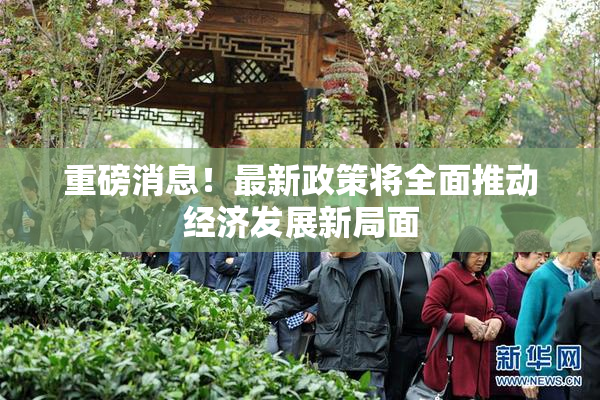 重磅消息！最新政策将全面推动经济发展新局面