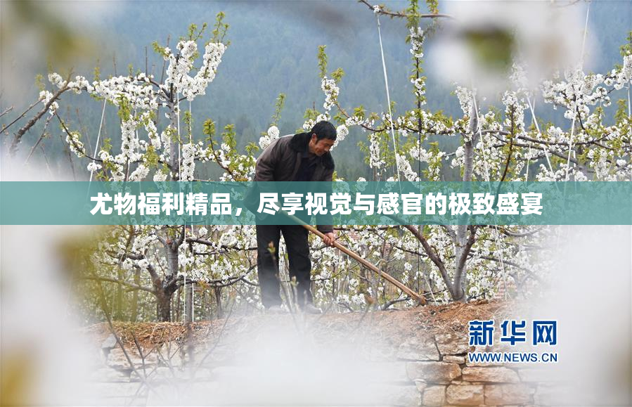 尤物福利精品，尽享视觉与感官的极致盛宴