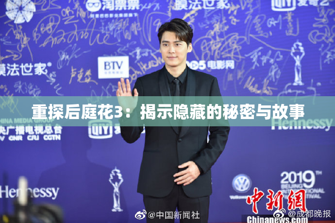 重探后庭花3：揭示隐藏的秘密与故事
