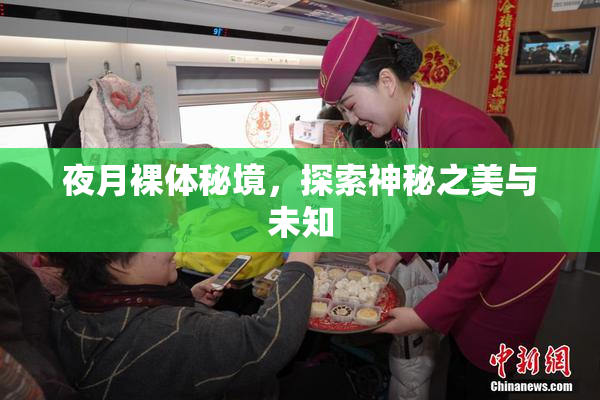 夜月裸体秘境，探索神秘之美与未知