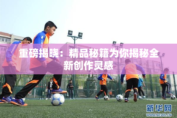 重磅揭晓：精品秘籍为你揭秘全新创作灵感