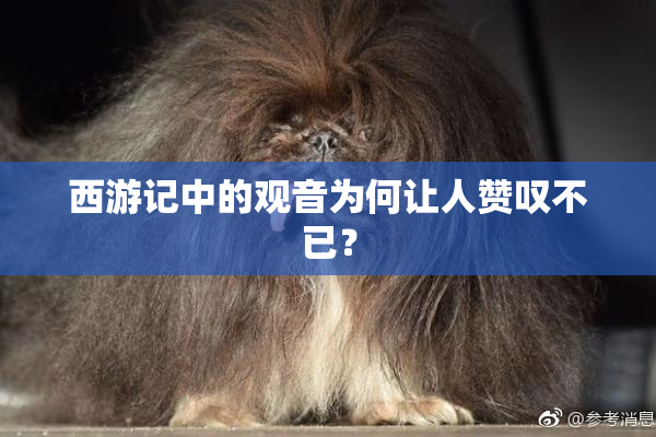 西游记中的观音为何让人赞叹不已？