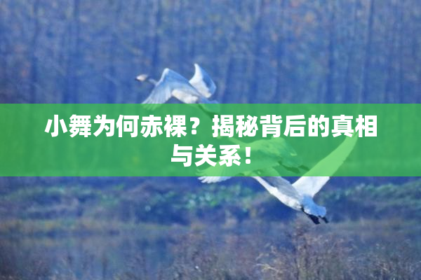 小舞为何赤裸？揭秘背后的真相与关系！