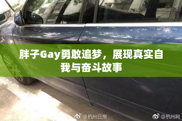 胖子Gay勇敢追梦，展现真实自我与奋斗故事