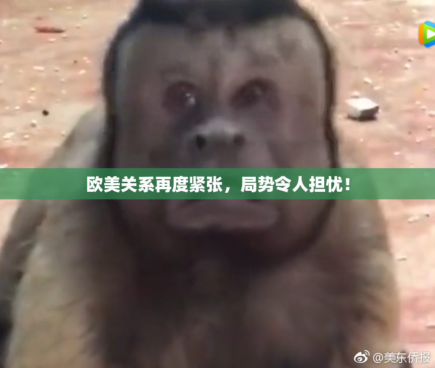 欧美关系再度紧张，局势令人担忧！