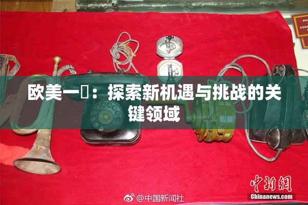 欧美一級：探索新机遇与挑战的关键领域