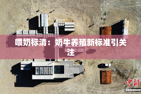 喂奶标清：奶牛养殖新标准引关注