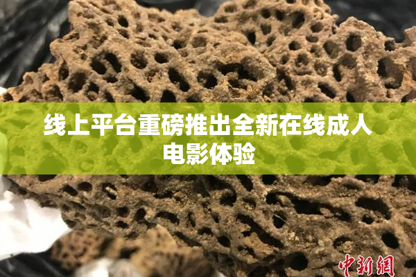 线上平台重磅推出全新在线成人电影体验