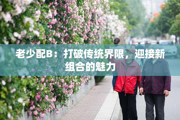 老少配B：打破传统界限，迎接新组合的魅力