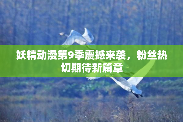 妖精动漫第9季震撼来袭，粉丝热切期待新篇章