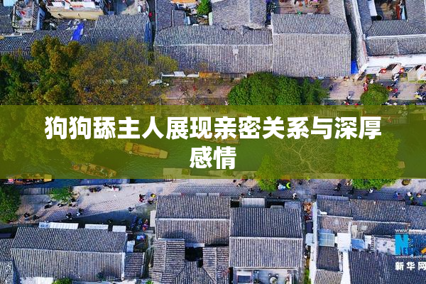 狗狗舔主人展现亲密关系与深厚感情