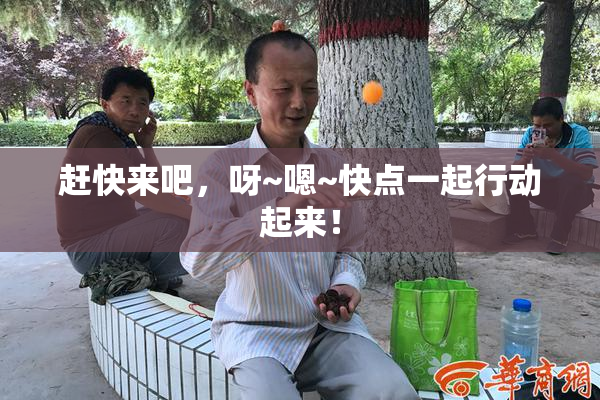 赶快来吧，呀~嗯~快点一起行动起来！