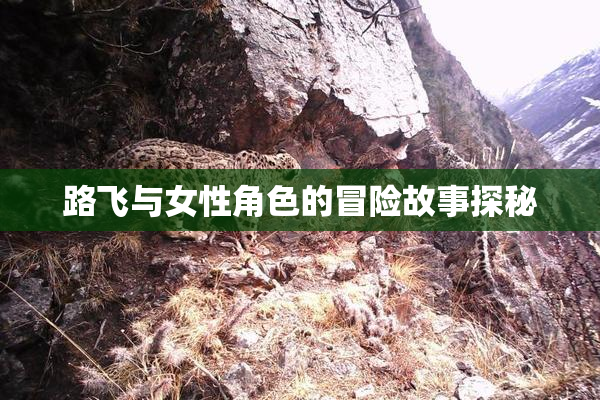 路飞与女性角色的冒险故事探秘