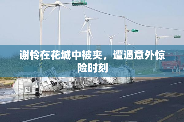 谢怜在花城中被夹，遭遇意外惊险时刻