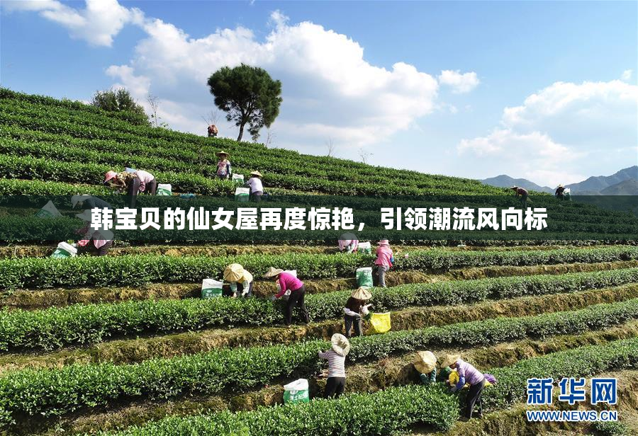 韩宝贝的仙女屋再度惊艳，引领潮流风向标