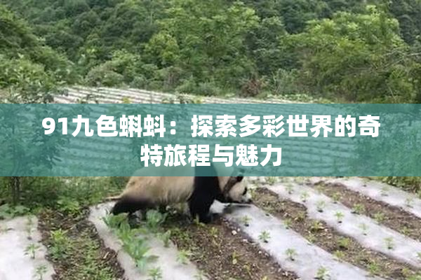 91九色蝌蚪：探索多彩世界的奇特旅程与魅力
