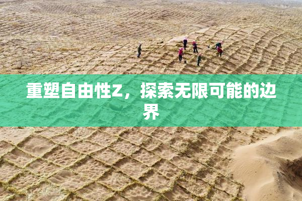 重塑自由性Z，探索无限可能的边界
