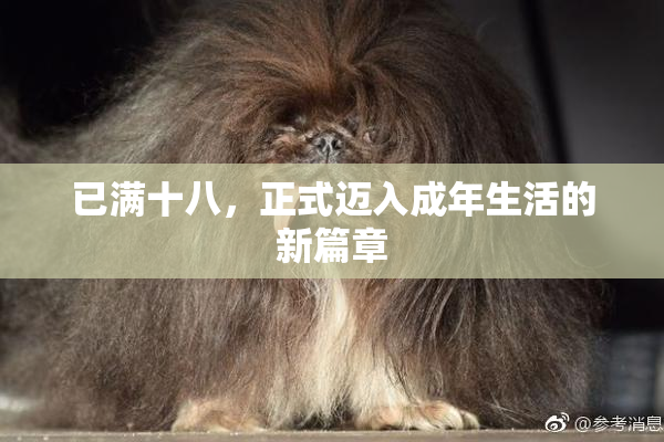 已满十八，正式迈入成年生活的新篇章