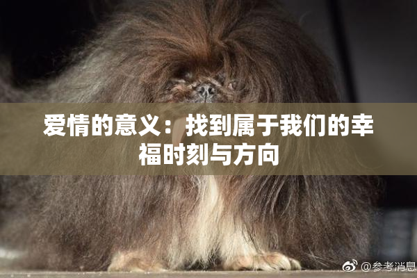 爱情的意义：找到属于我们的幸福时刻与方向