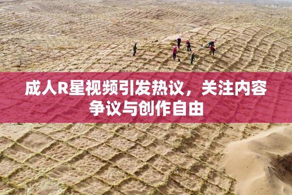 成人R星视频引发热议，关注内容争议与创作自由