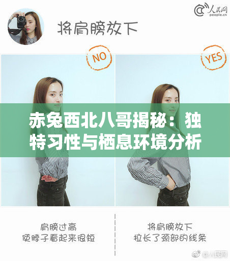赤兔西北八哥揭秘：独特习性与栖息环境分析