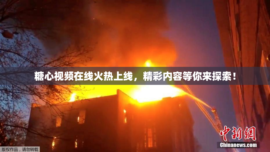 糖心视频在线火热上线，精彩内容等你来探索！
