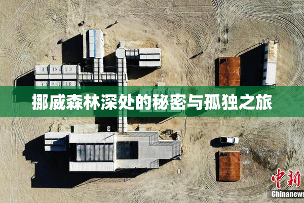 挪威森林深处的秘密与孤独之旅