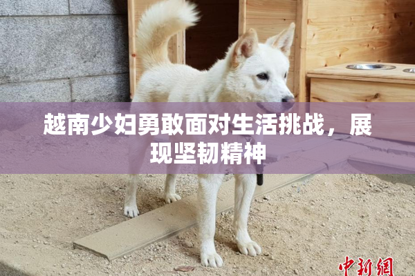 越南少妇勇敢面对生活挑战，展现坚韧精神