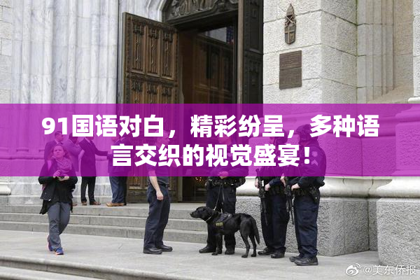 91国语对白，精彩纷呈，多种语言交织的视觉盛宴！