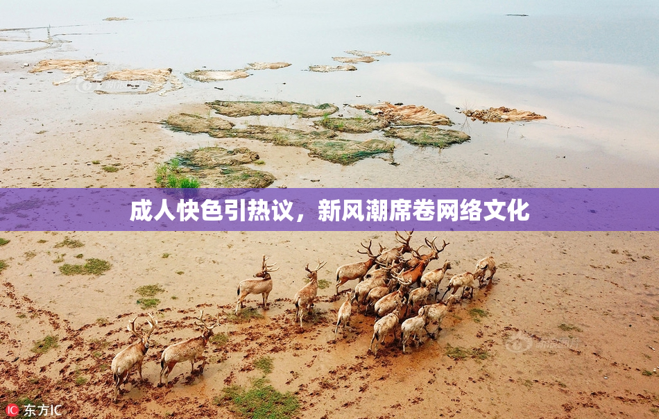 成人快色引热议，新风潮席卷网络文化