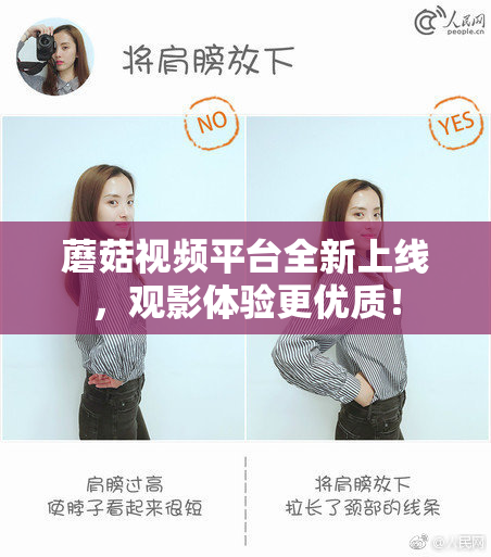 蘑菇视频平台全新上线，观影体验更优质！