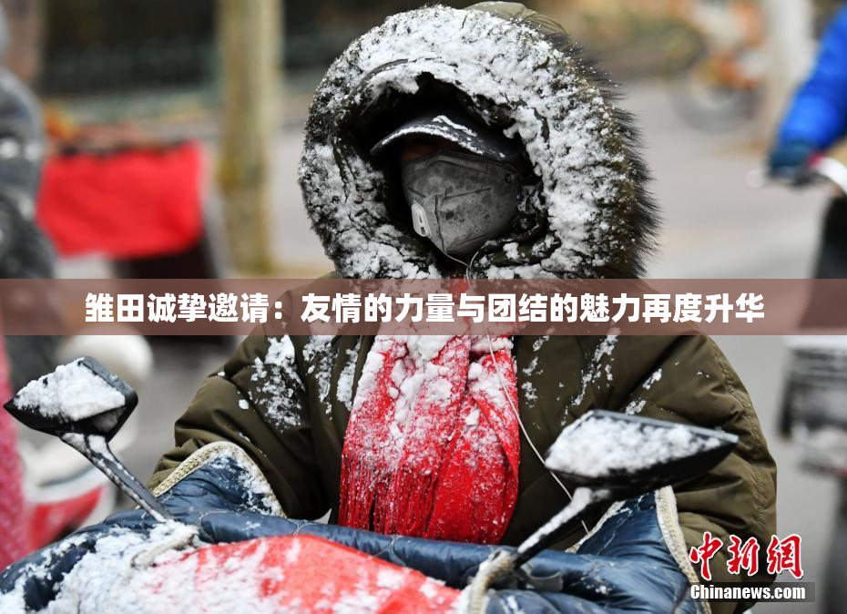 雏田诚挚邀请：友情的力量与团结的魅力再度升华