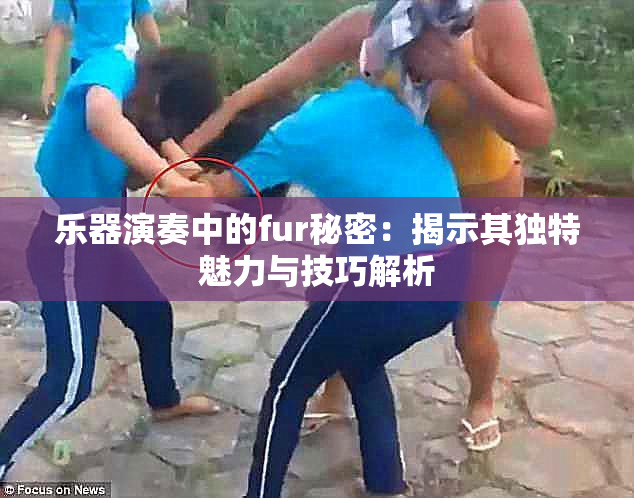 乐器演奏中的fur秘密：揭示其独特魅力与技巧解析