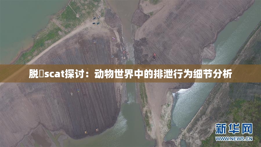 脱糞scat探讨：动物世界中的排泄行为细节分析