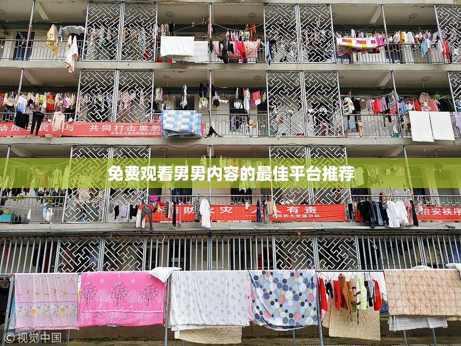 免费观看男男内容的最佳平台推荐
